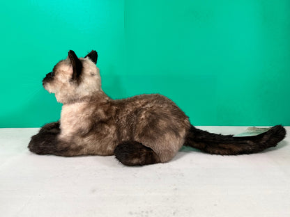 Plush Siamese Shorthair Cat-Weighted-Handmade Life-Size Companion & Pet Memorial