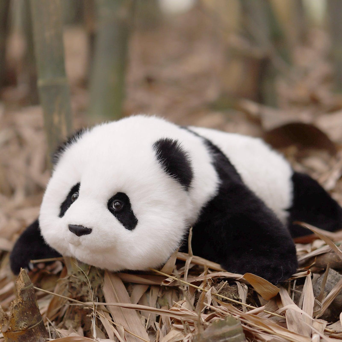 4lbs Menglan Panda Weighted – Ultra Realistic Collectible Toy
