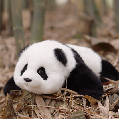 4lbs Menglan Panda Weighted – Ultra Realistic Collectible Toy
