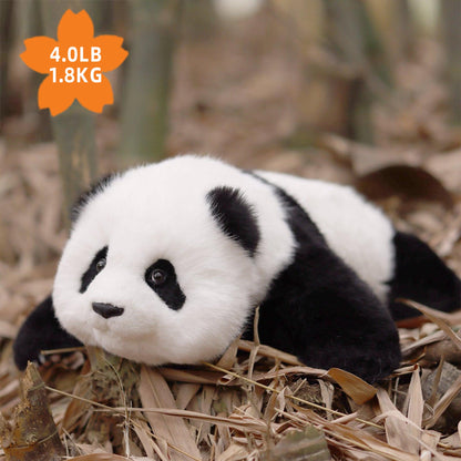 4lbs Menglan Panda Weighted – Ultra Realistic Collectible Toy
